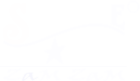 logo (white)