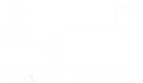 logo (white)
